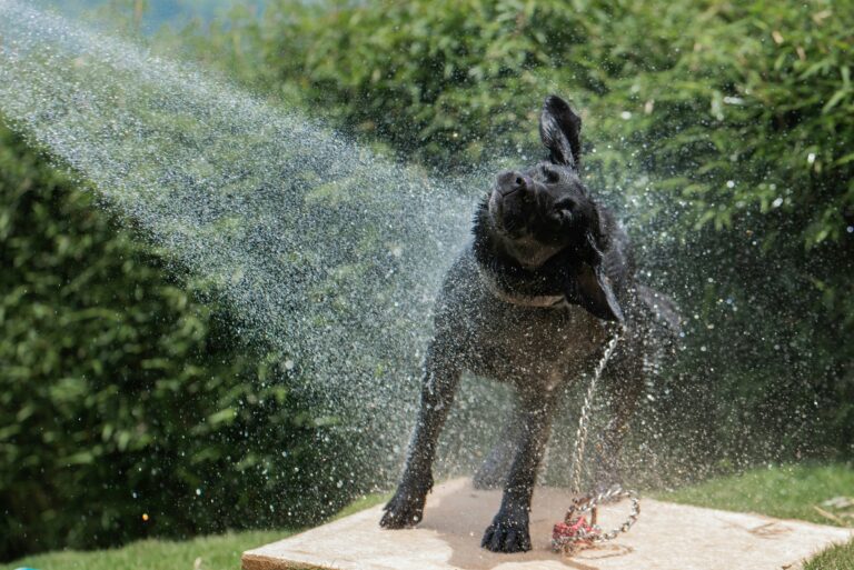 Beat the Heat: Signs of Overheating and How to Prevent It