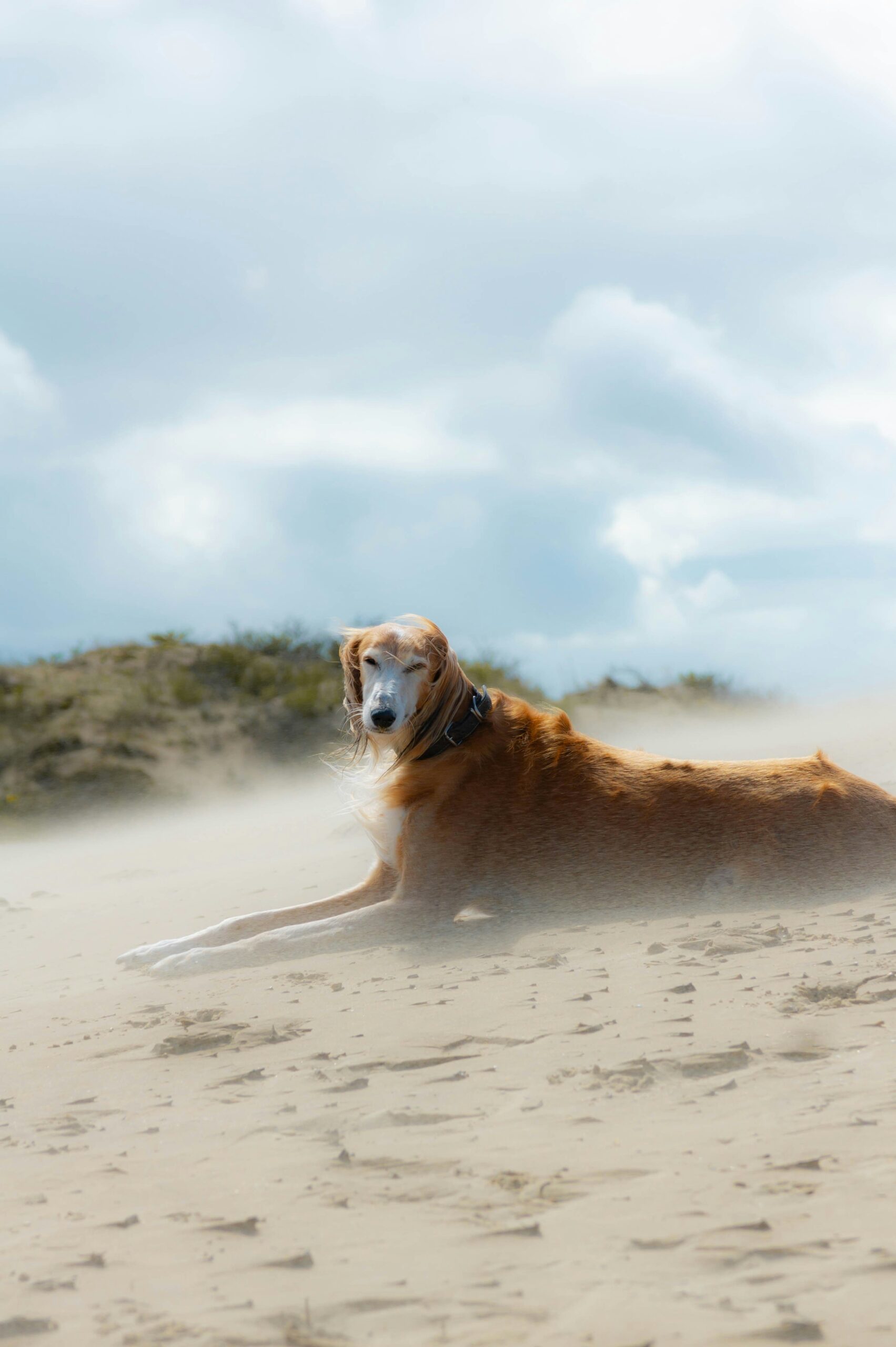 Beat the Heat: Signs of Overheating and How to Prevent It