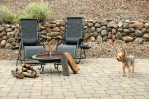 Backyard Safety for Dogs: BBQs, Kids, and Distractions