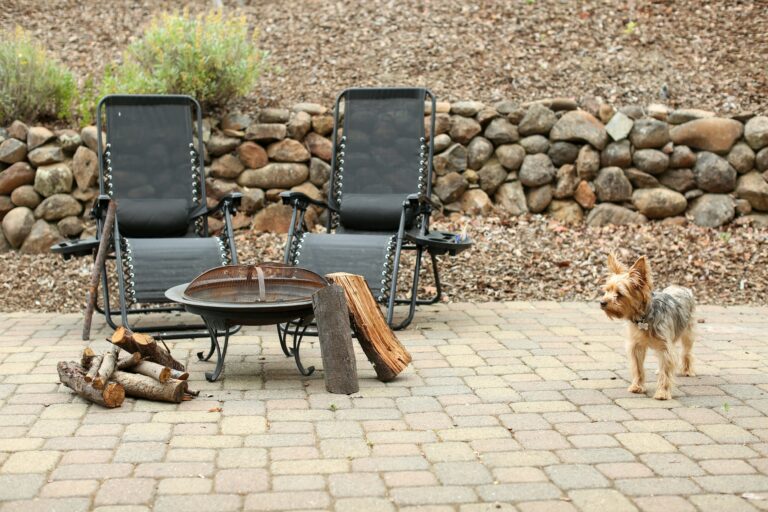 Backyard Safety for Dogs: BBQs, Kids, and Distractions