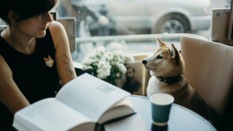 Preparing Your Dog for Back-to-School Schedule Changes