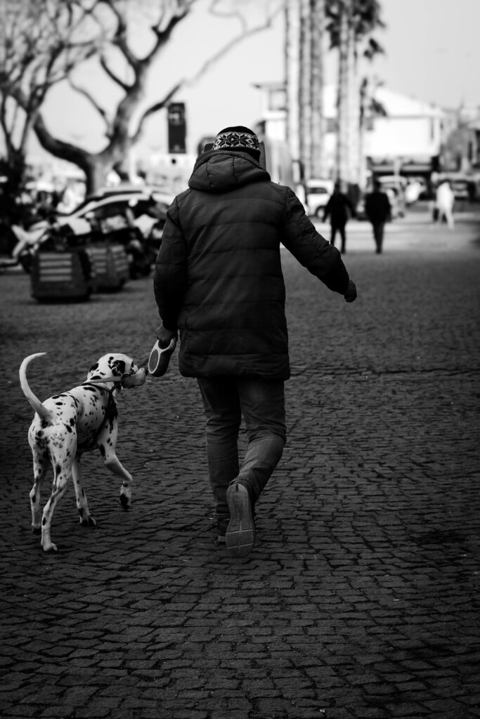 Socialization 101: Proven Confidence Boost for Dogs