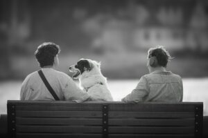 Socialization 101: Proven Confidence Boost for Dogs