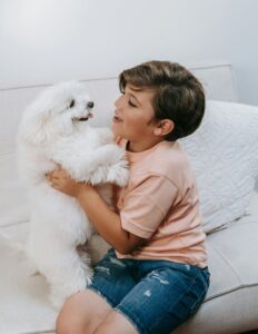 Training Tips for Families With Kids and Dogs