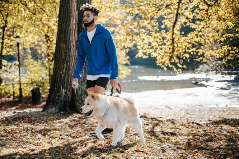 Mastering Loose Leash Walking Before Fall Adventures Begin