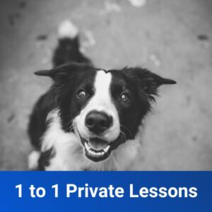 1 to 1 Private Lessons